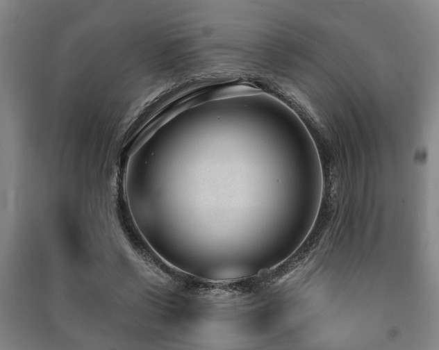 X0000091450542200708161300