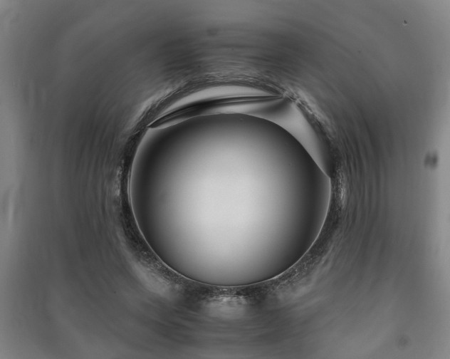 X0000091450543200708161300