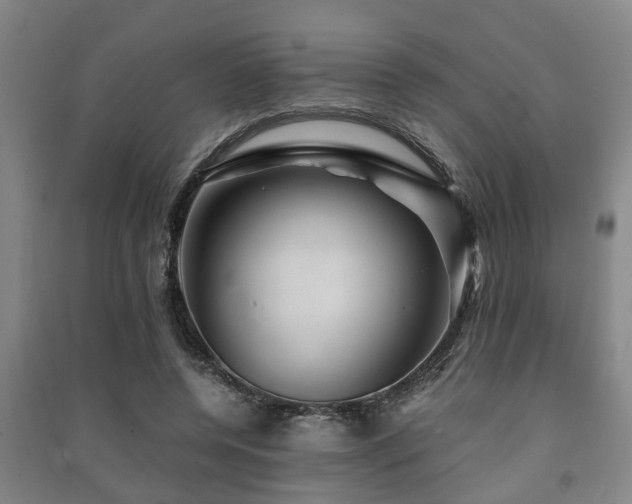 X0000091450544200708161300