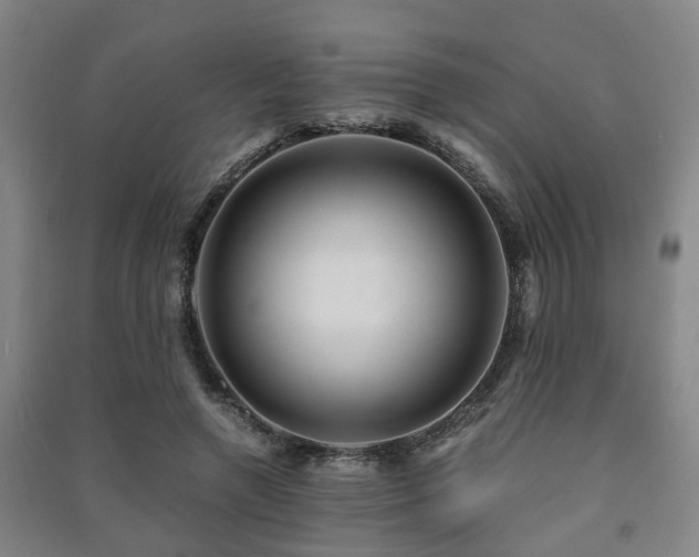 X0000091450546200708161300