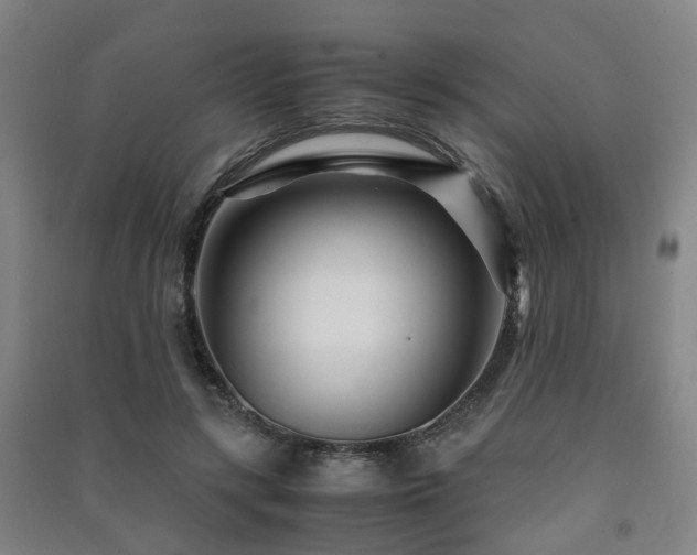 X0000091450547200708161300