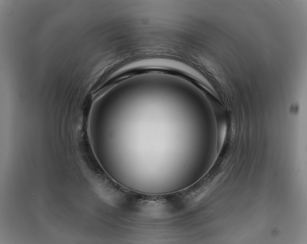 X0000091450548200708161300