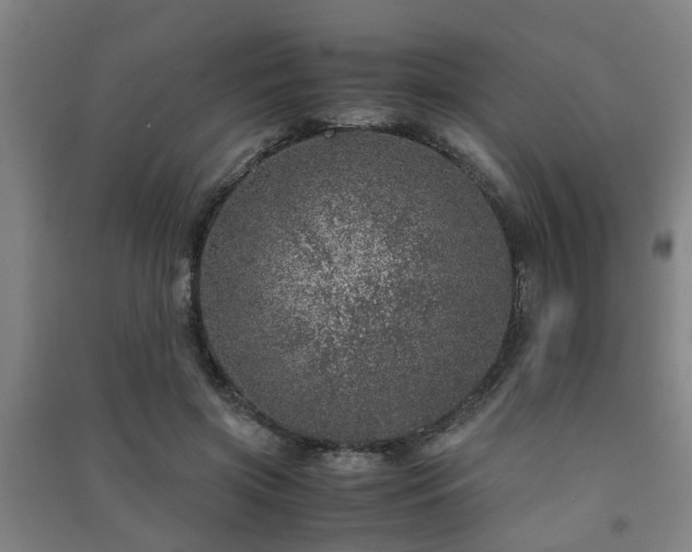 X0000091450549200708161300