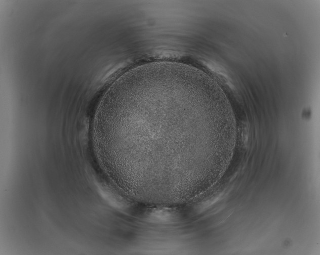 X0000091450550200708161300