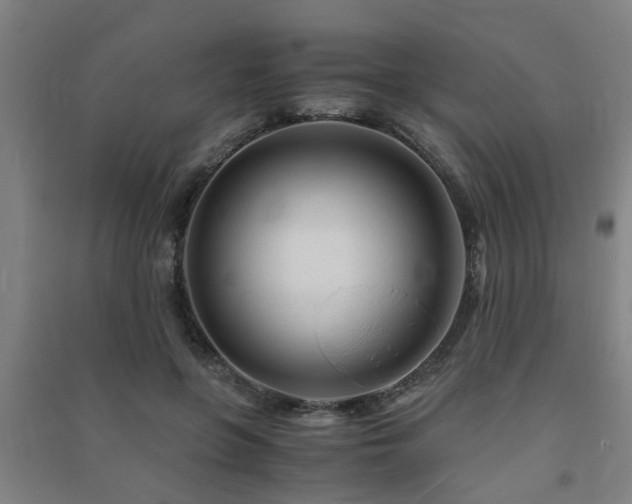 X0000091450551200708161300