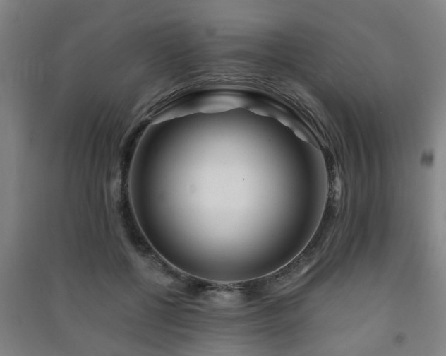 X0000091450552200708161300