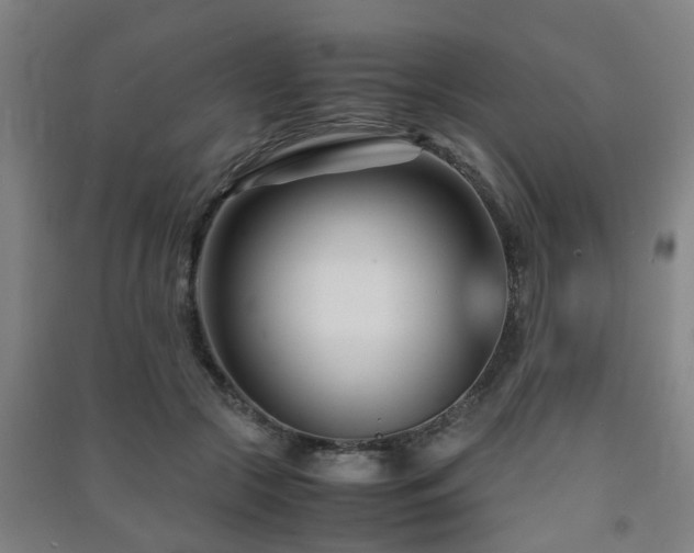 X0000091450553200708161300