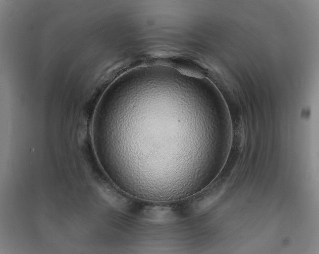 X0000091450554200708161300
