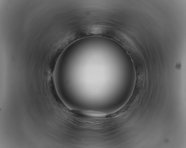 X0000091450555200708161300