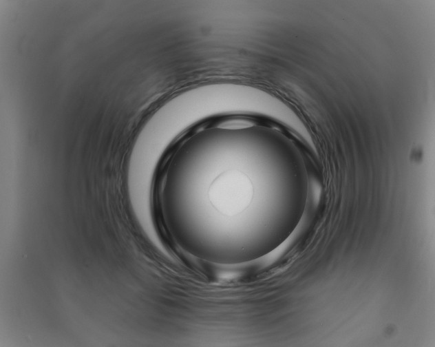 X0000091450556200708161300