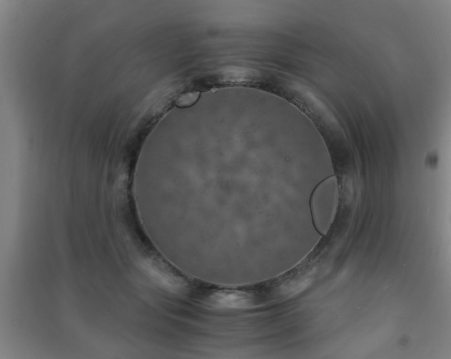 X0000091450557200708161300