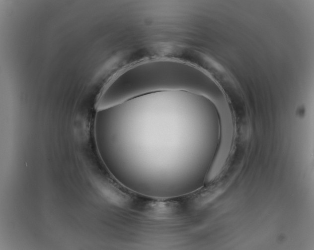 X0000091450558200708161300