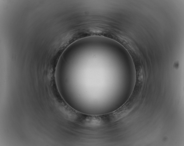 X0000091450559200708161300
