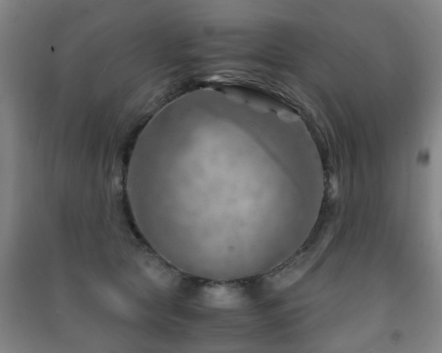 X0000091450561200708161300