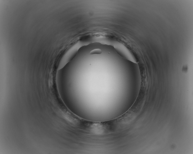 X0000091450562200708161300