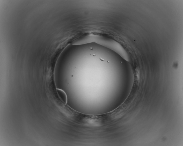 X0000091450563200708161300