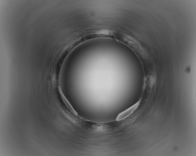 X0000091450564200708161300