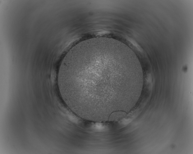 X0000091450565200708161300