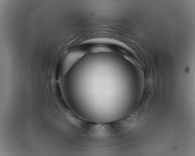 X0000091450566200708161300