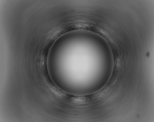 X0000091450567200708161300