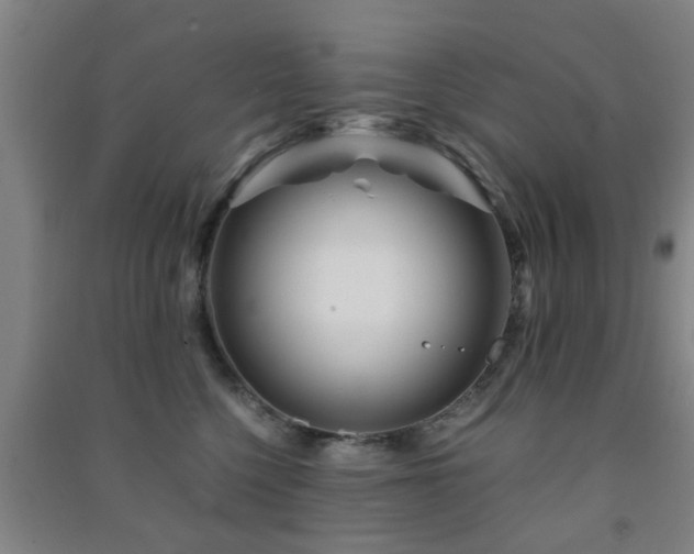 X0000091450568200708161300