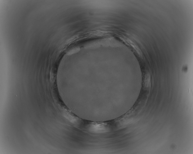 X0000091450569200708161300