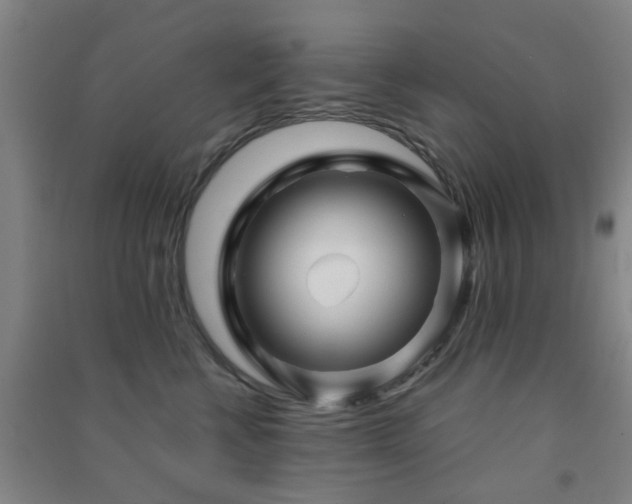 X0000091450570200708161300