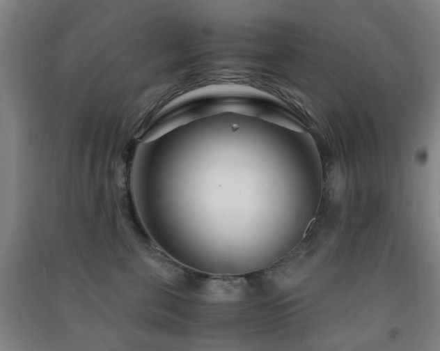X0000091450571200708161300