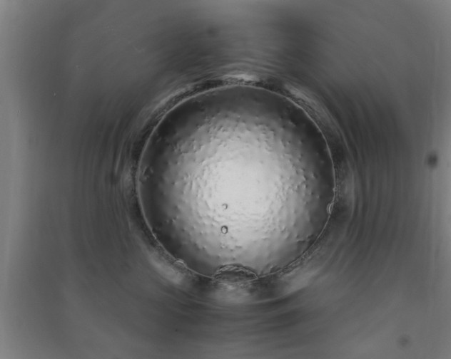 X0000091450573200708161300