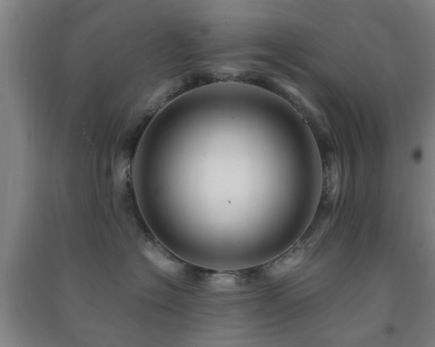 X0000091450574200708161300