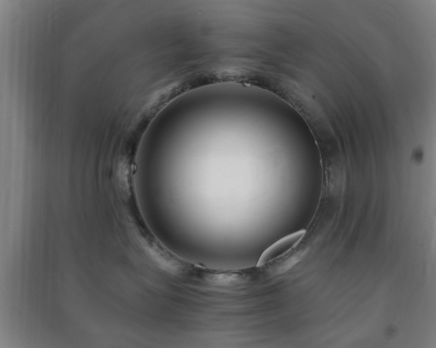 X0000091450575200708161300