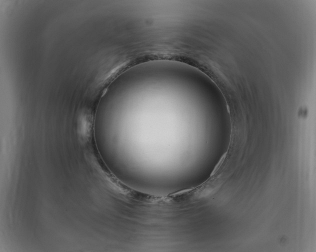 X0000091450576200708161300