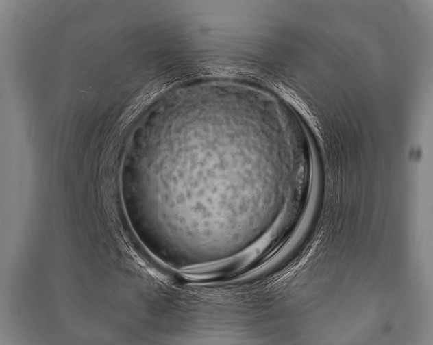 X0000091450577200708161300