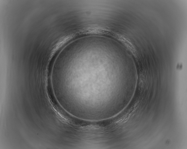 X0000091450578200708161300