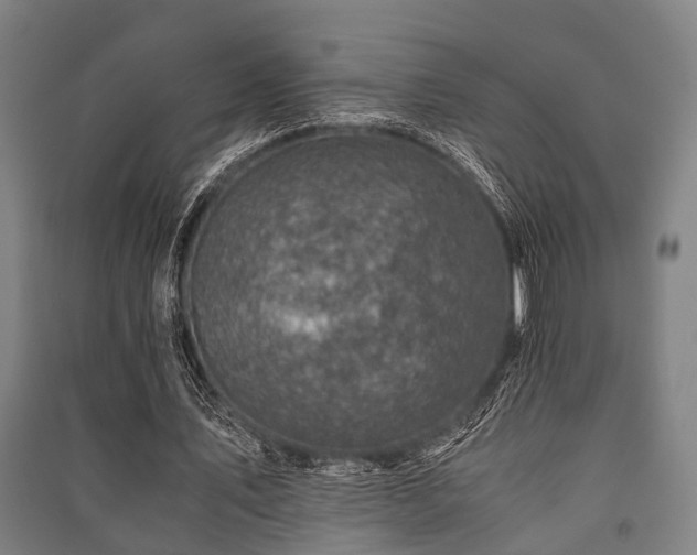 X0000091450579200708161300