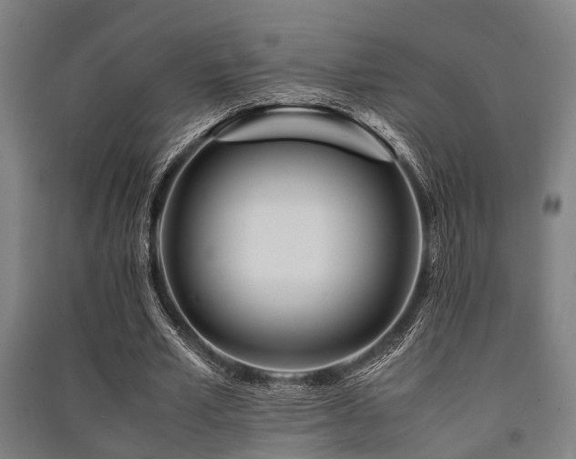 X0000091450581200708161300