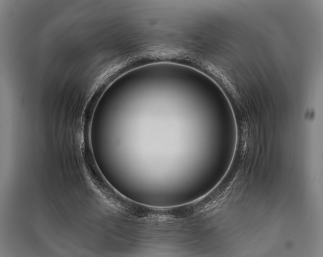 X0000091450582200708161300