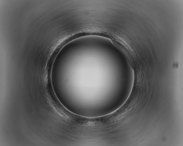 X0000091450584200708161300