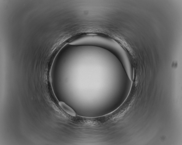X0000091450585200708161300