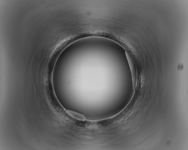 X0000091450587200708161300