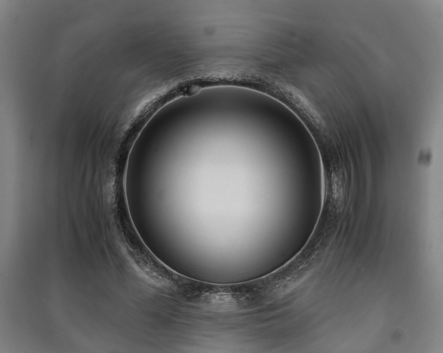 X0000091450588200708161300