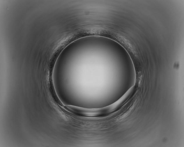 X0000091450589200708161300