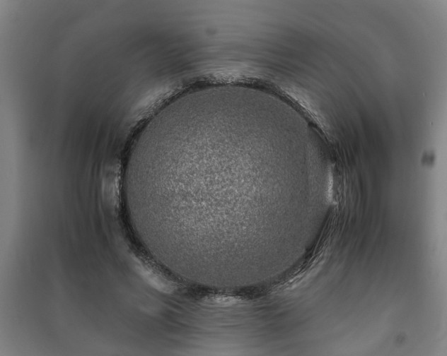 X0000091450590200708161300