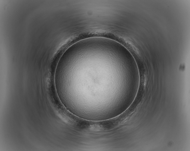 X0000091450591200708161300