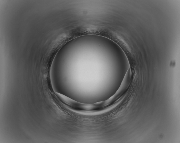 X0000091450593200708161300