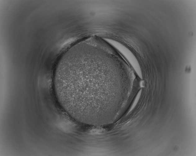 X0000091450595200708161300
