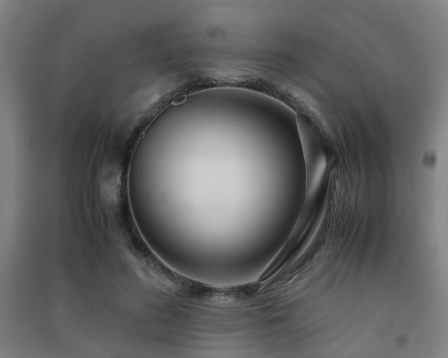 X0000091450596200708161259