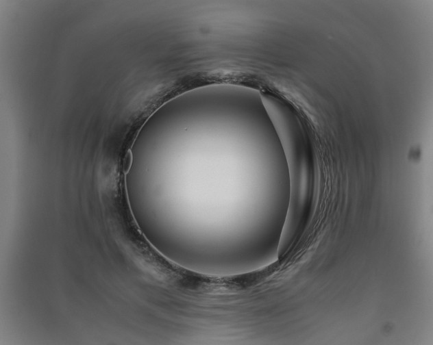 X0000091450597200708161259