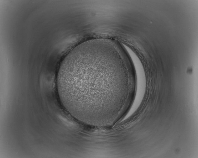 X0000091450599200708161259