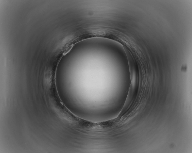 X0000091450600200708161259